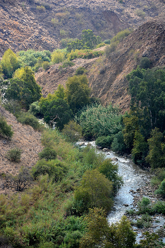 The Jordan River: Galilee