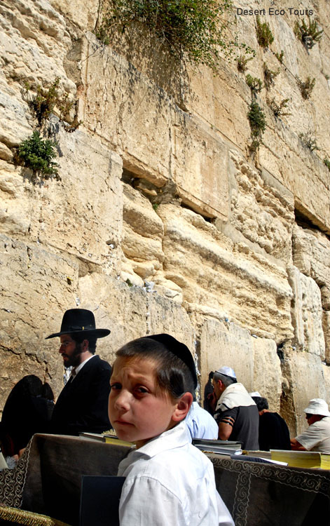 Jewish tour of Jerusalem- The Western Wall