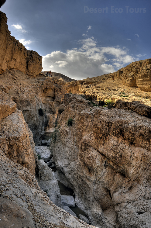 Hiking tours in the Negev desert, Israel