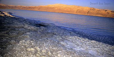 Dead Sea coast