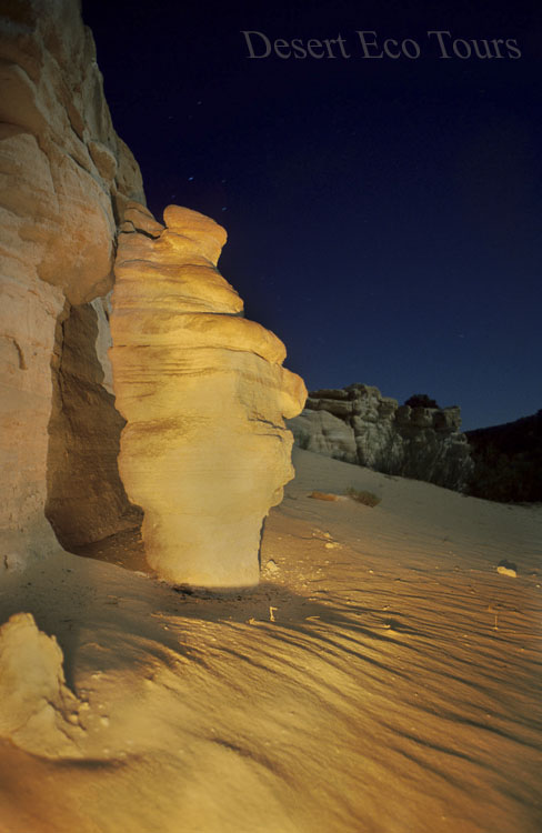 לילה במדבר: טיולי ג'יפים באזור אילת