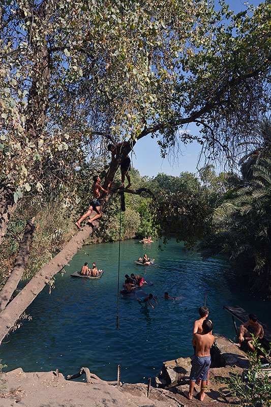 Spring water in the Galilee