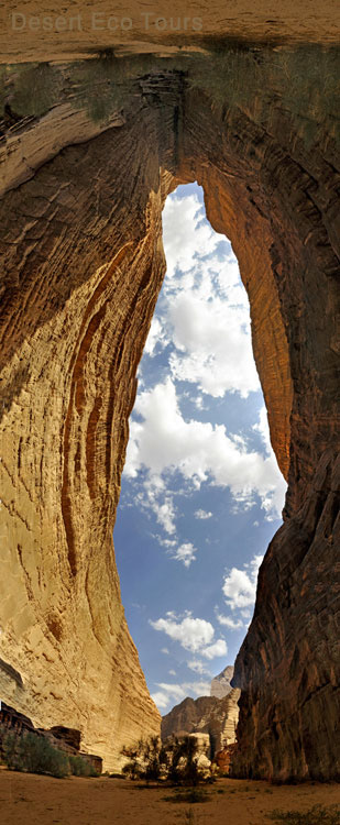 2 dayd tour: Petra & Wadi Rum