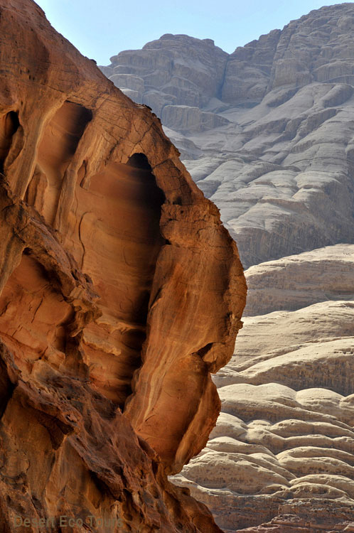 Trip to Petra and Wadi Rum: Jordan
