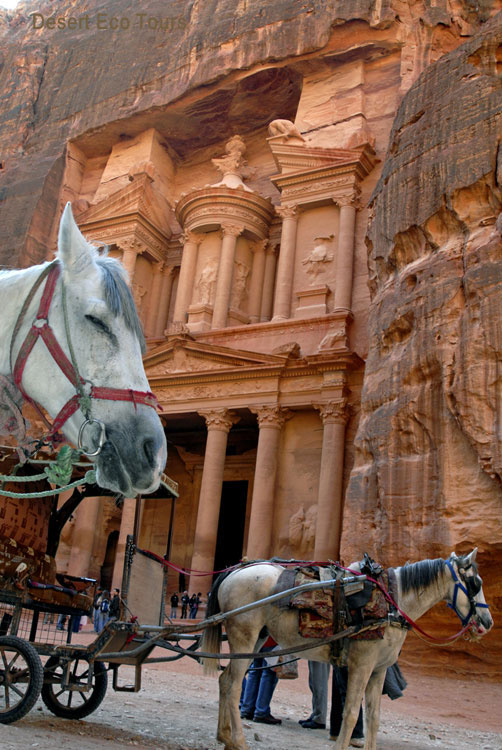 Tours to Petra from Aqaba port- Aida
