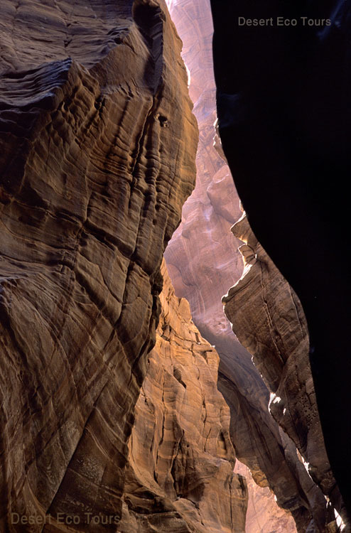 Trekking in Jordan's canyons