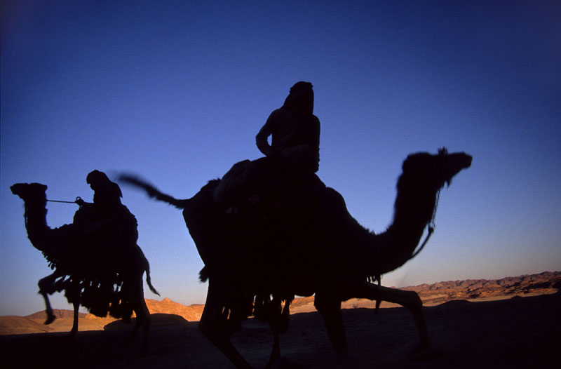 Camel tours in the Sinai desert Egypt