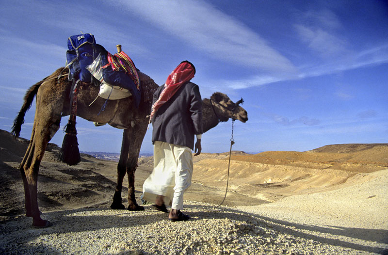 Camel and Hiking tours in the Sinai desert