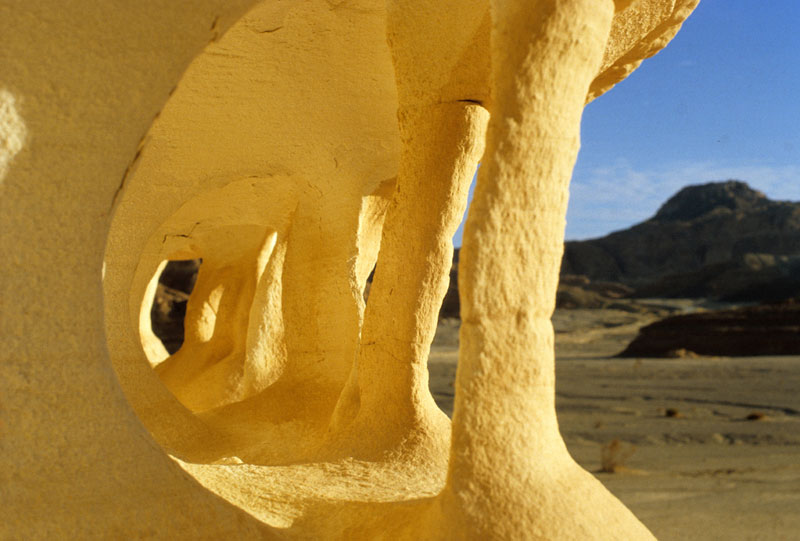 Desert experience of Sinai desert- Egypt