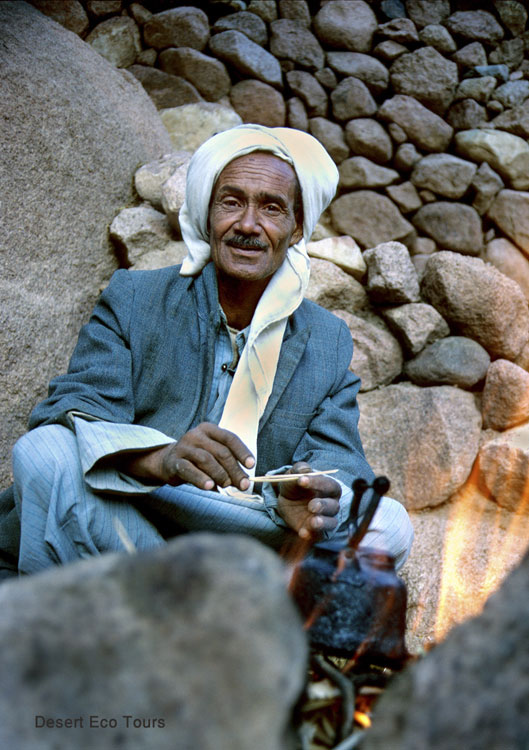 The Bedouin of the Sinai