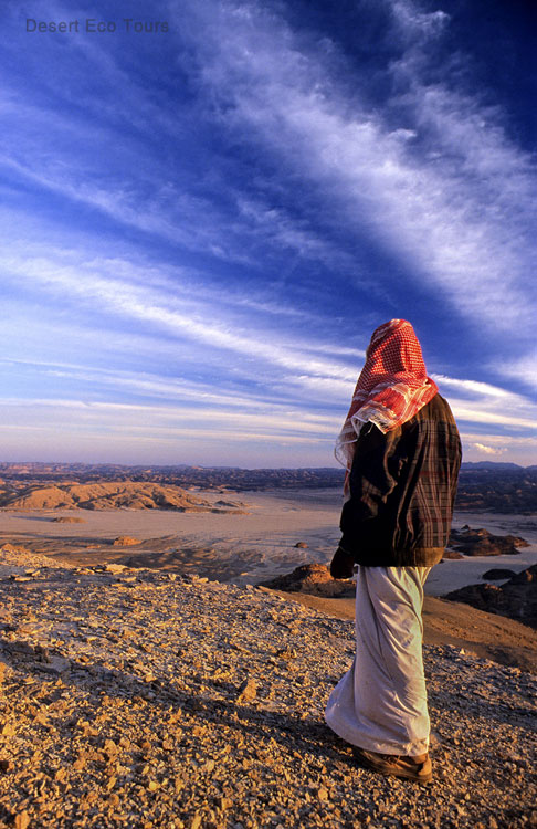 Hiking in the Sinai desert
