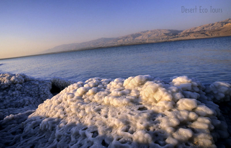 Dead Sea tours from Eilat or Jerusalem