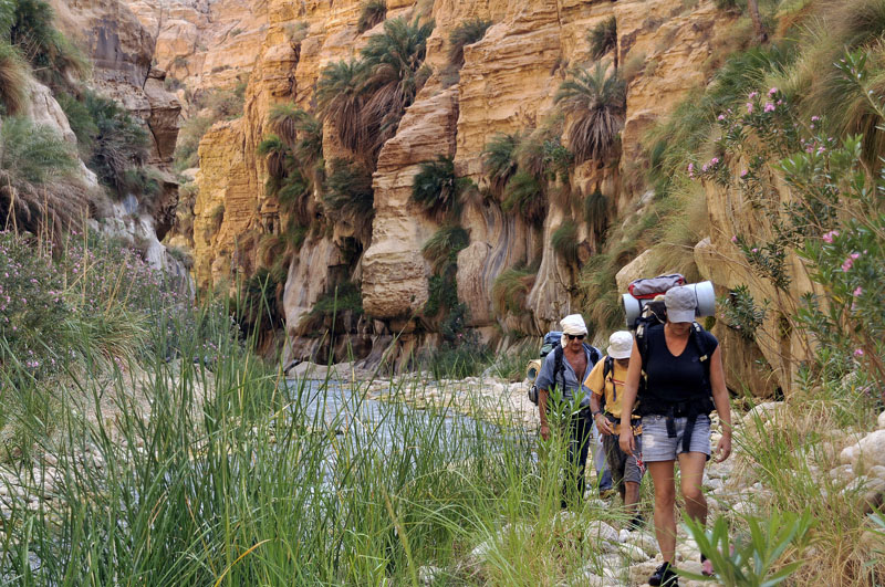 Hiking in the Dead Sea canyons- Tours of Jordan