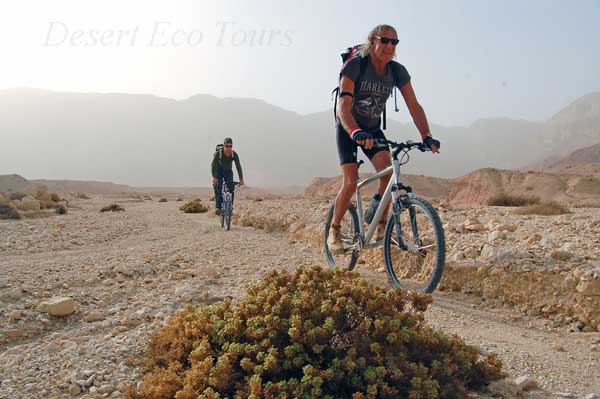 cycling tours in the Southern Negev