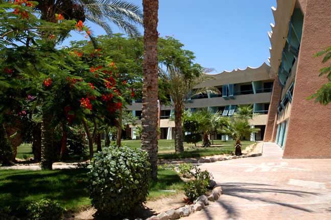 Hilton Nuweiba 3* hotel Sinai