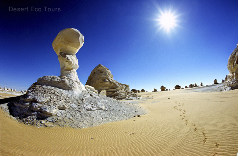 טיולי ג'יפים למדבר הלבן במצרים