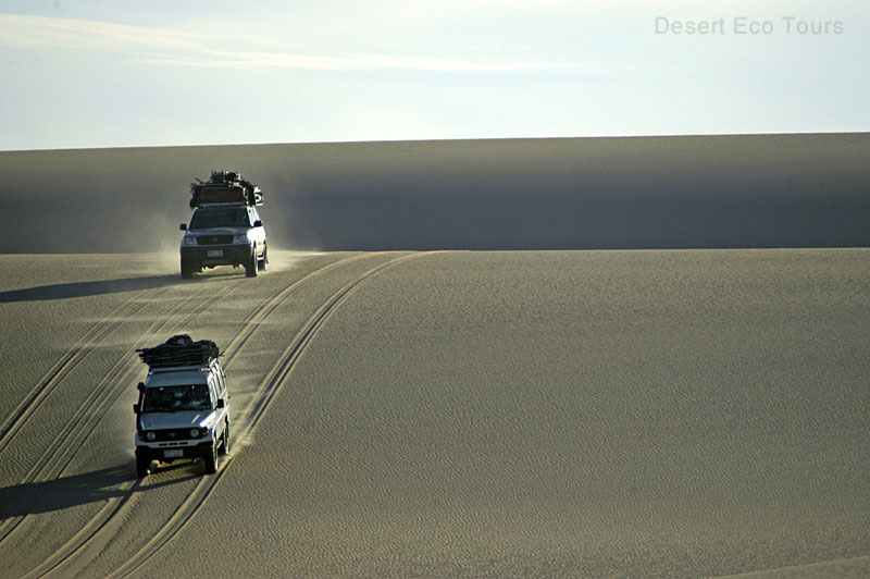 Desert jeep tours