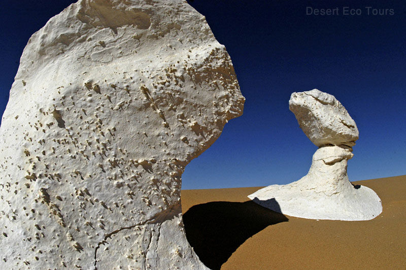 ג'יפים בנהיגה עצמית במדבר המערבי
המדבר הלבן הקסום של מצרים
