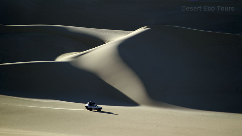 Jeep tours: Western Desert