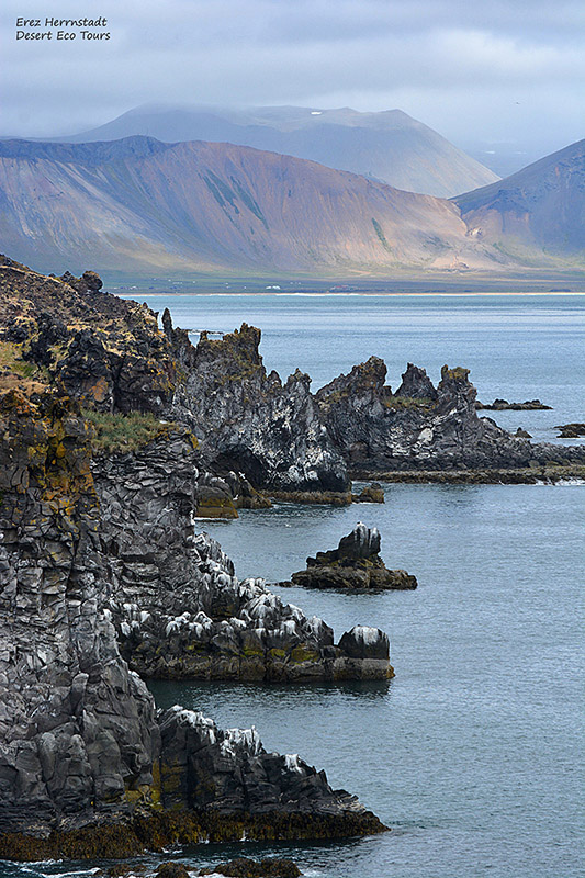חופי איסלנד: הים הצפוני