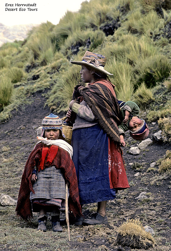 ילידי ההרים באנדים של פרו