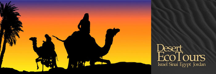 Desert Eco Tours - Jeep camel hiking 