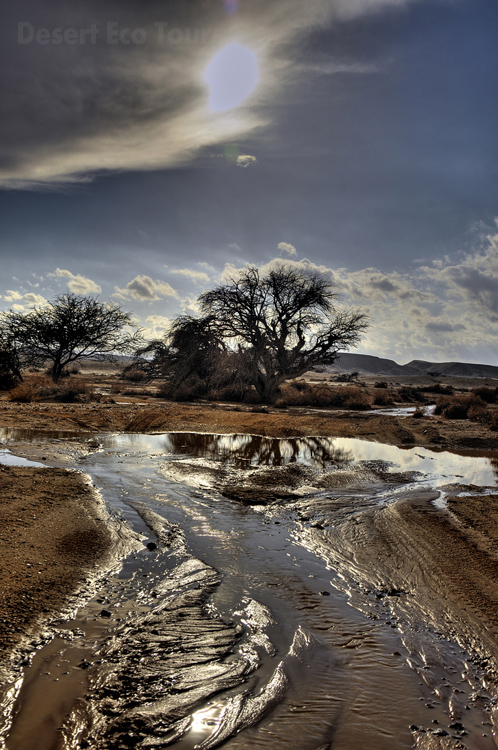 Rain floods in the Negev Desert