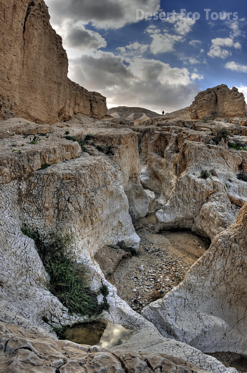 Hiking tours in the Negev desert- Israel