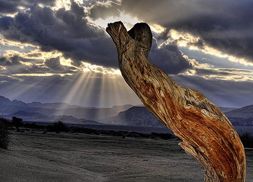 Tours from Six Senses Shaharut