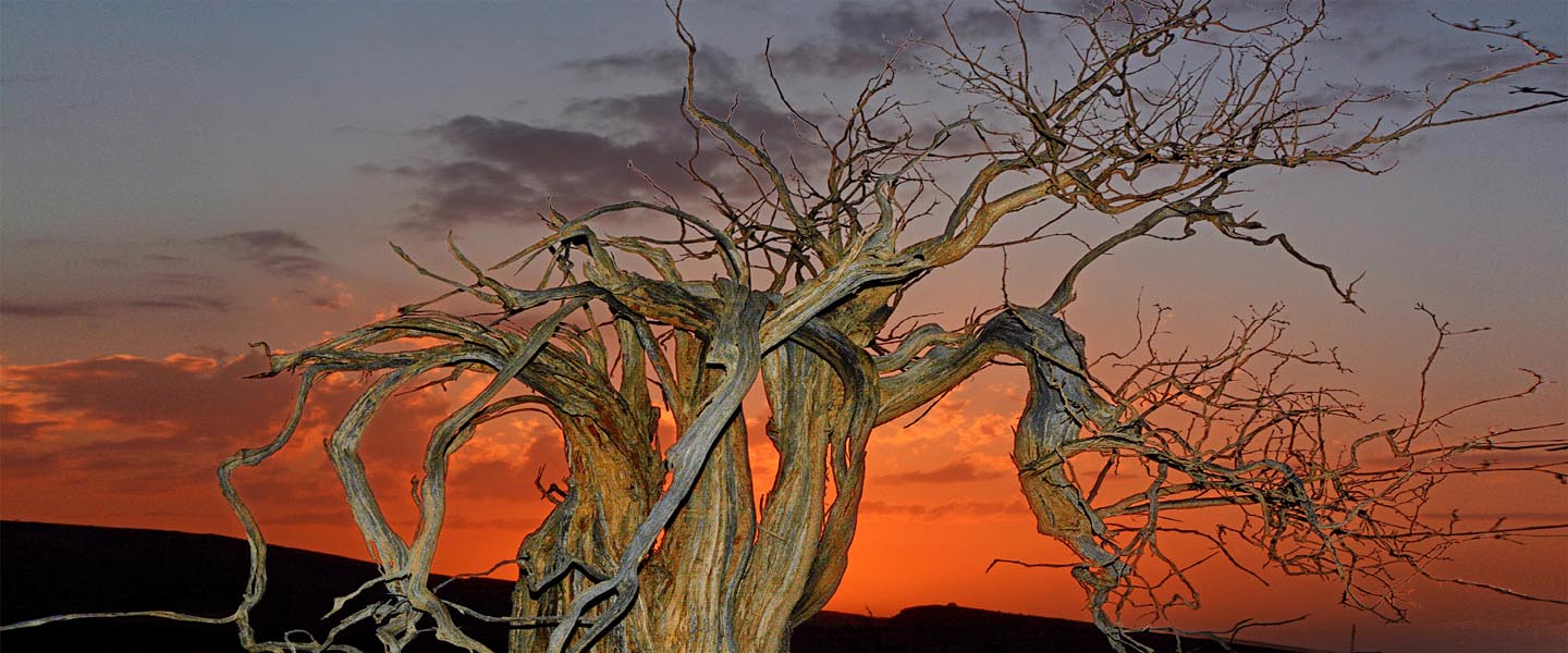 Sunset in the Eilat Mts. Israel