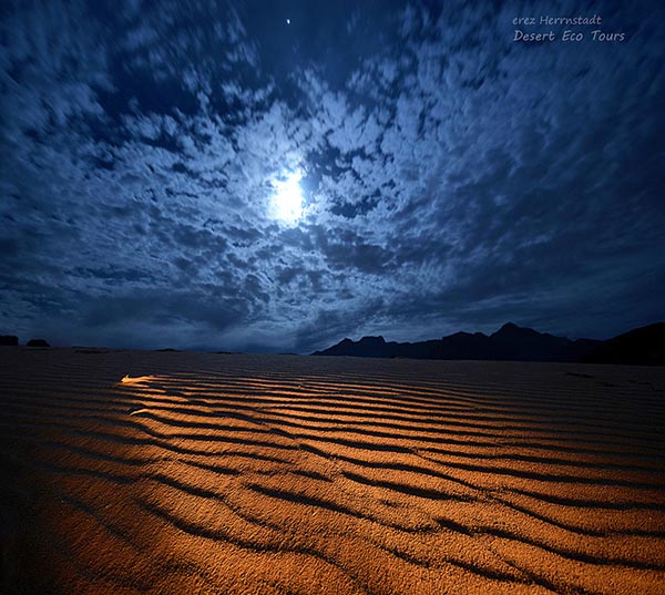 Desert tours from Eilat
