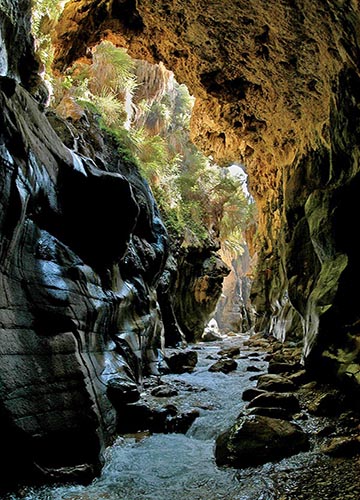 Trekking in Jordan