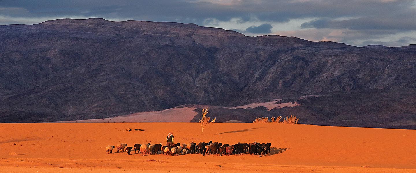 Bedouin in Jordan