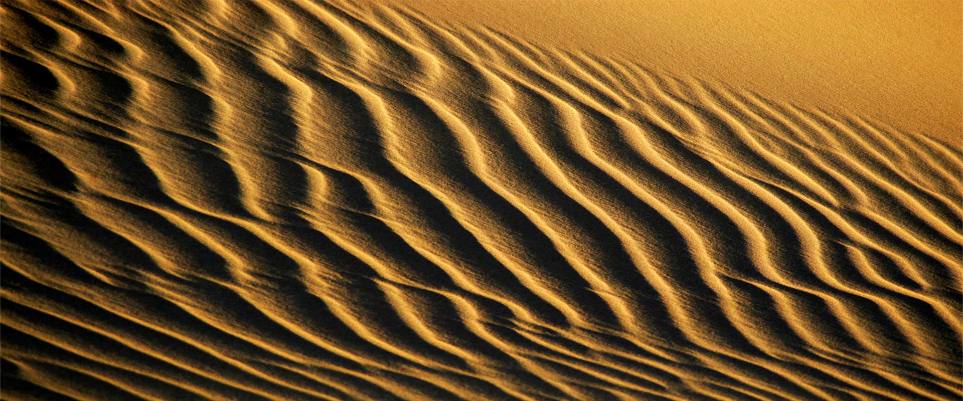 sAND DUNE IN wADI rUM- jORDAN TOURS
