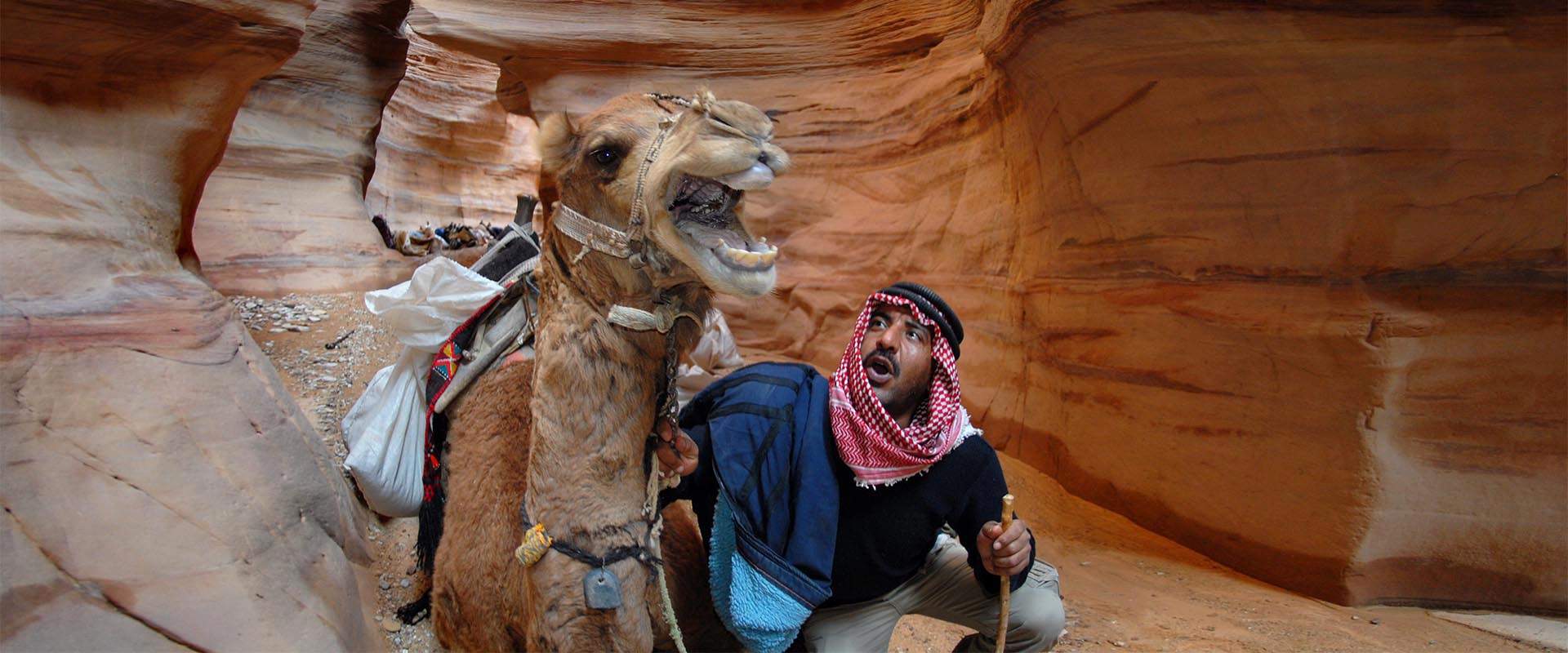 Camel tours in Jordan- Wadi Rum