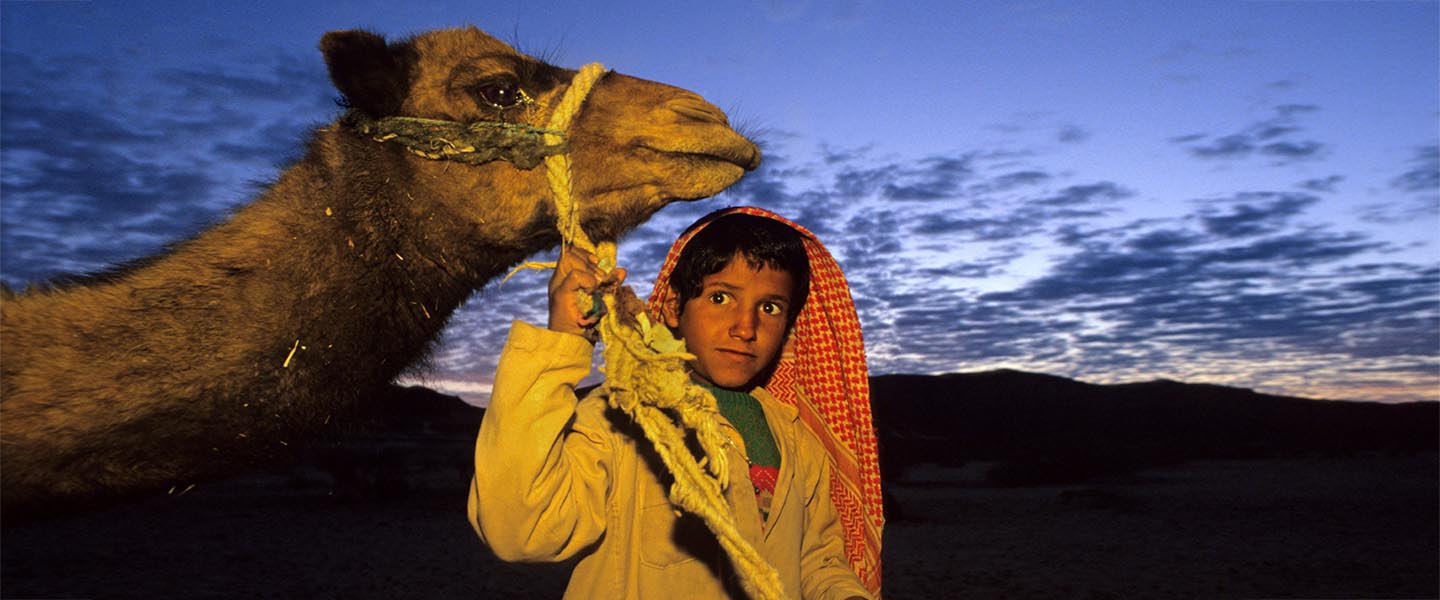 the Bedouin of the Sinai desert