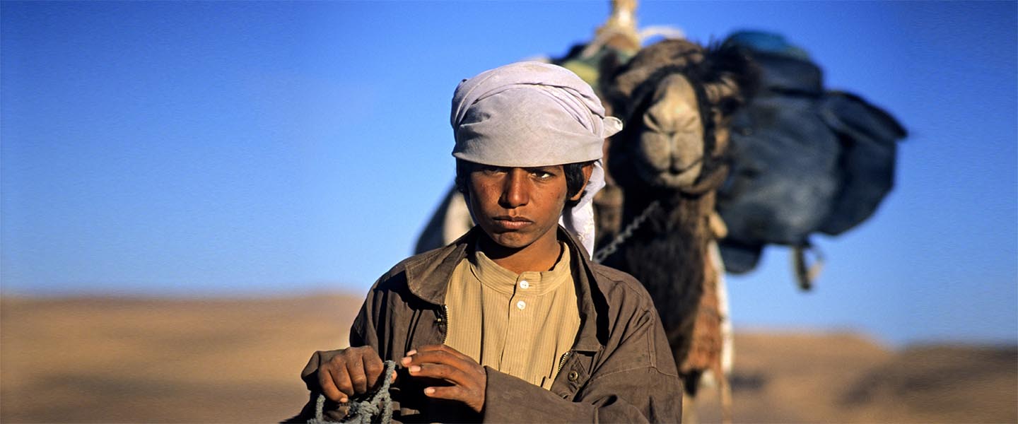 the Bedouin of the Sinai desert with a camel