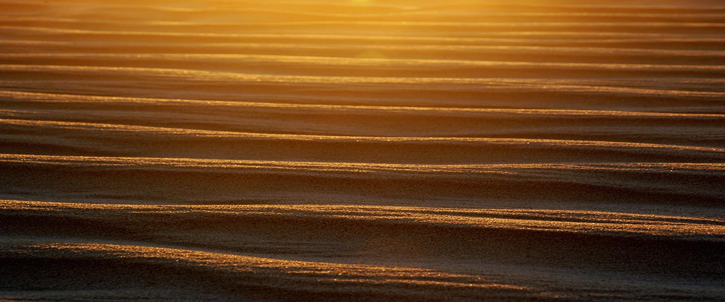 The Sand sone area of the Sinai desert- Egypt