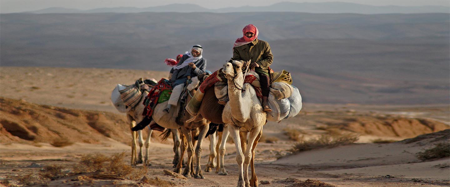 the Bedouin of the Sinai desert