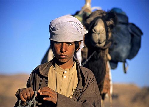 Jeep-camel-hiking tour