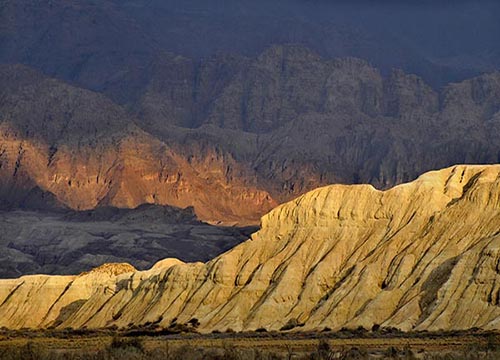 Negev desert tours