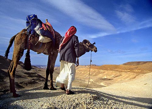 Sinai & Cairo Combined Tours Israel to Egypt Travel Package