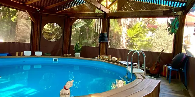 The Dolphin reef