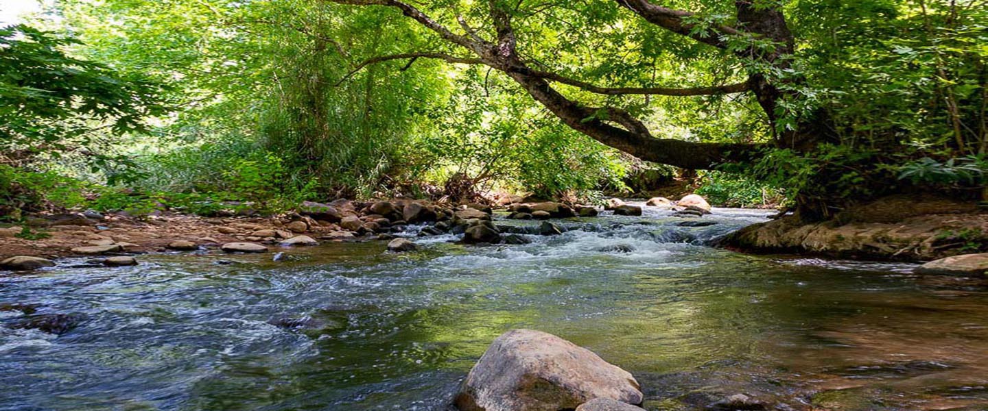 Tel Dan Galilee Israel